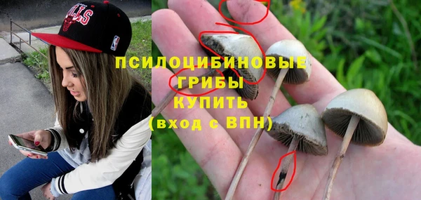 гашиш Пересвет