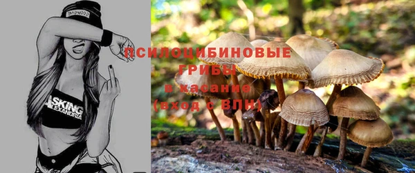 мяу мяу кристалл Алзамай
