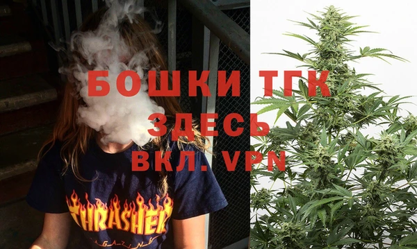 стафф Алексин