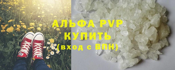 стафф Алексин