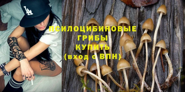 стафф Алексин