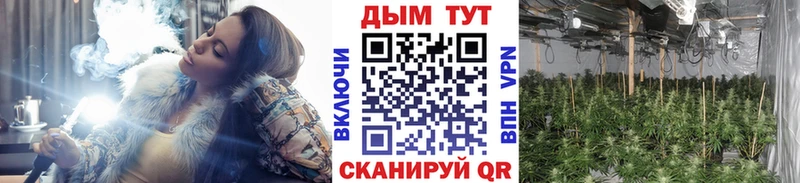 купить наркоту  Наволоки  Конопля ГИДРОПОН 